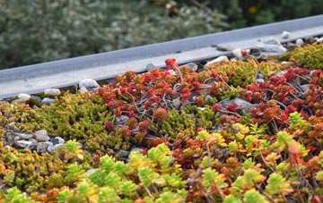 the cost of Readymoney green roof installation