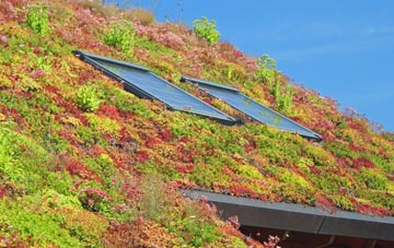 Readymoney living roof systems
