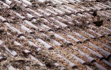 Readymoney roof cleaning companies